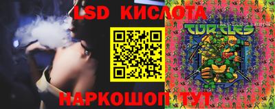 стаф Кимры