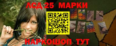 стаф Кимры
