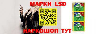 стаф Кимры