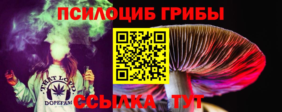 где найти   Псилоцибиновые грибы мухоморы  Вход с VPN  Красногорск 