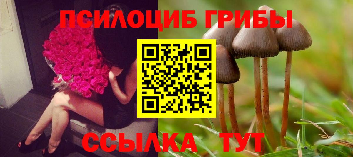 Галлюциногенные грибы мухоморы Красногорск